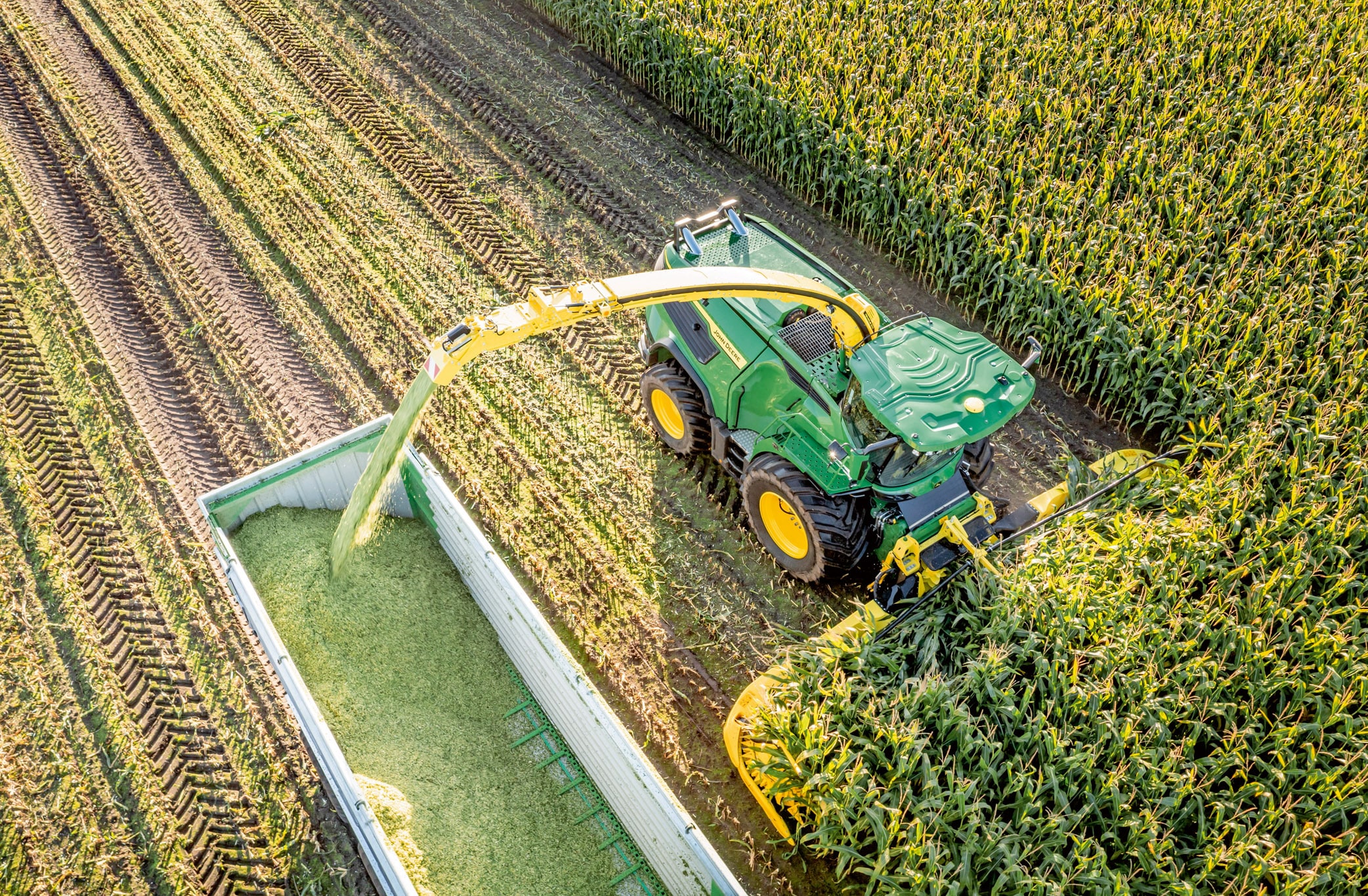 Letecký pohled na zelenou sklízecí řezačku John Deere, která sklízí kukuřici a překládá nařezanou siláž do přívěsu na velkém kukuřičném poli.